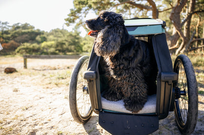 Thule Bexey L Dog Bike Trailer [hazy green]