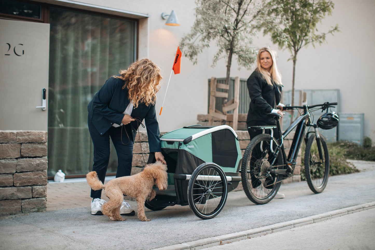 Thule Bexey L Dog Bike Trailer [hazy green]