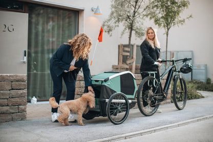 Thule Bexey L Dog Bike Trailer [hazy green]