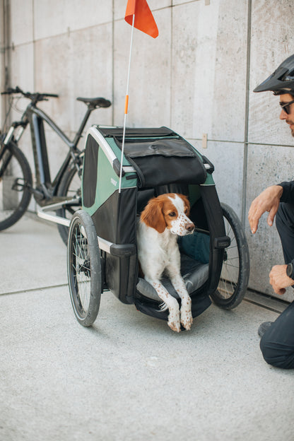 Thule Bexey L Dog Bike Trailer [hazy green]